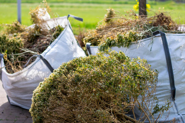 Best Yard Waste Removal  in Breckenridge, CO